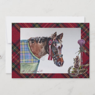 beautiful show horse, plaid and thistle collection holiday card