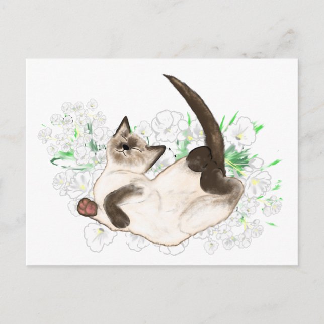 Beautiful Siamese Cat art gifts and accessories Postcard (Front)