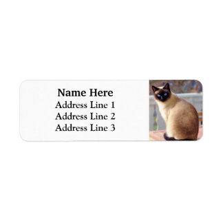 Beautiful Siamese Cat Blue Eyes Return Address