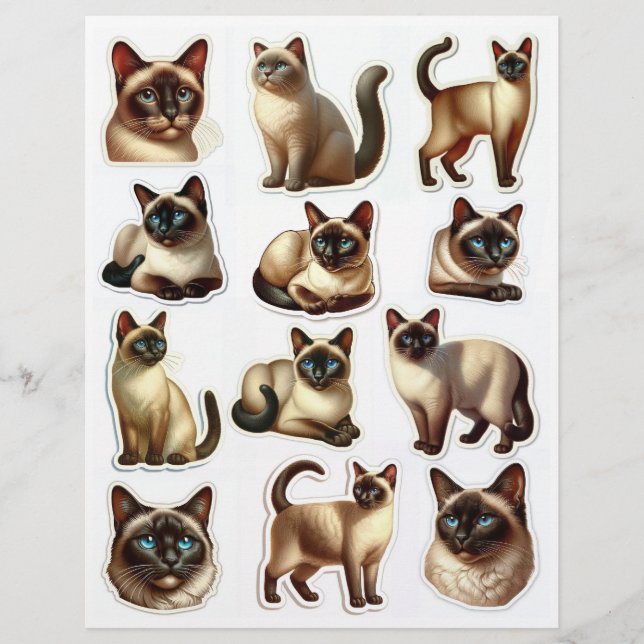 Beautiful Siamese Cat Illustrations Heads & Bodies (Front)