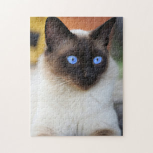Beautiful Siamese Cat Kitten Jigsaw Puzzle
