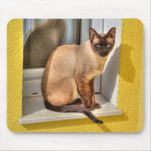 Beautiful Siamese Cat Mouse Mat