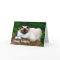 Beautiful Siamese Cat Photo Birthday Card
