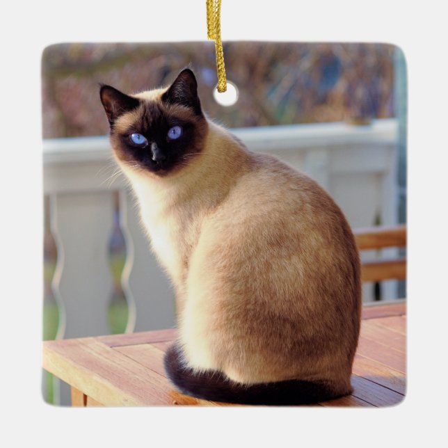 Beautiful Siamese Cat with Blue Eyes Ceramic Ornament (Front)