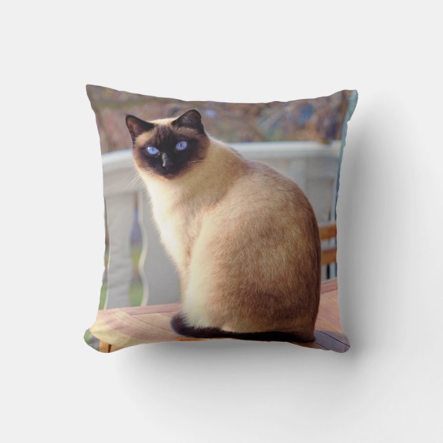 Beautiful Siamese Cat with Blue Eyes Cushion (Front)