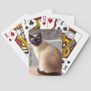 Beautiful Siamese Cat with Blue Eyes Playing Cards