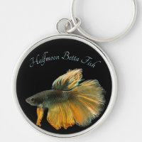 Beautiful Siamese Fighting Fish Betta Halfmoon    