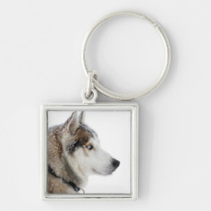 Beautiful Siberian Husky in the Snow Key Ring