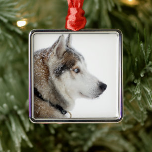 Beautiful Siberian Husky in the Snow Metal Tree Decoration