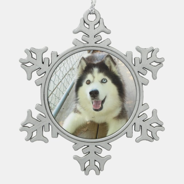 Beautiful Siberian Husky Ornament (Front)