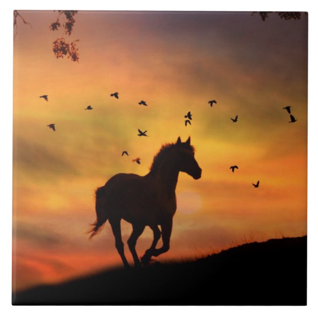 Beautiful Sihouetted Horse in the Sunrise Tile (Front)