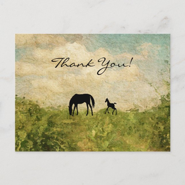 Beautiful Silhouette Mare and Foal Horse Thank You Postcard (Front)