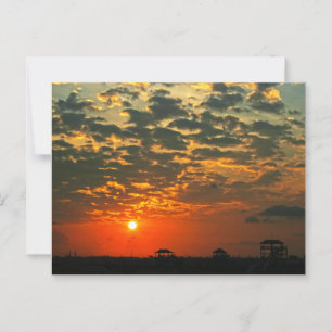 Beautiful Silhouette Sunset Postcard