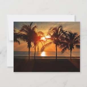 Beautiful Silhouette Sunset Postcard