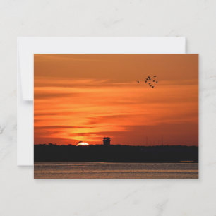 Beautiful Silhouette Sunset Postcard