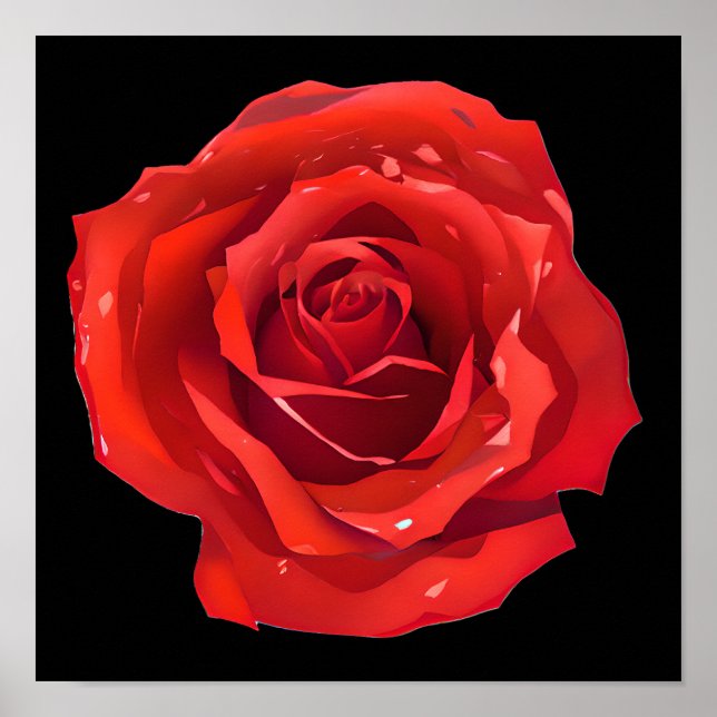 Beautiful Single Red Rose    Poster (Front)