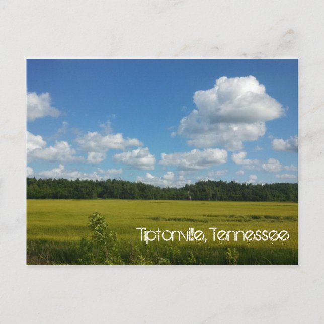 Beautiful Skies Over Tiptonville Postcard (Front)