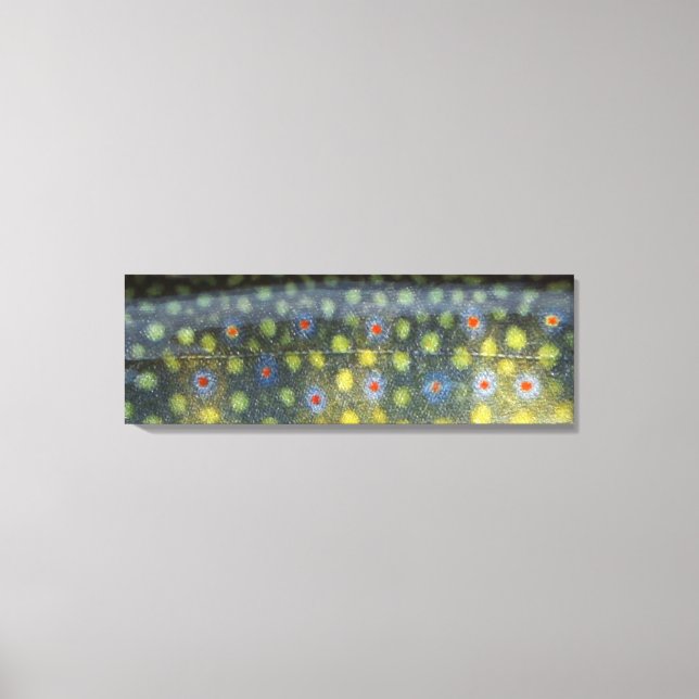 Beautiful Skin, Jordan River Brookie" Canvas Print (Front)