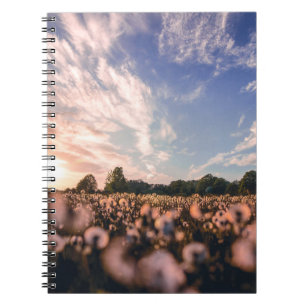 beautiful sky over the plain notebook
