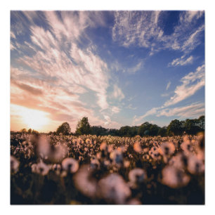 beautiful sky over the plain poster