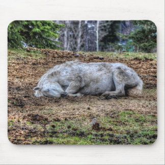 Beautiful Sleeping White Mare Ranch Horse Mouse Mat