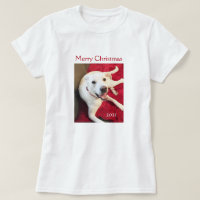 Beautiful Smiling White Puppy Dog Red Christmas