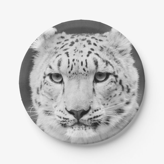 Beautiful Snow Leopard Black and White Portrait Paper Plate (Front)
