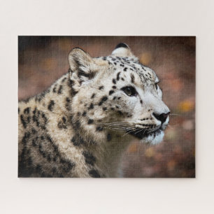 Beautiful Snow Leopard, Jigsaw Puzzle