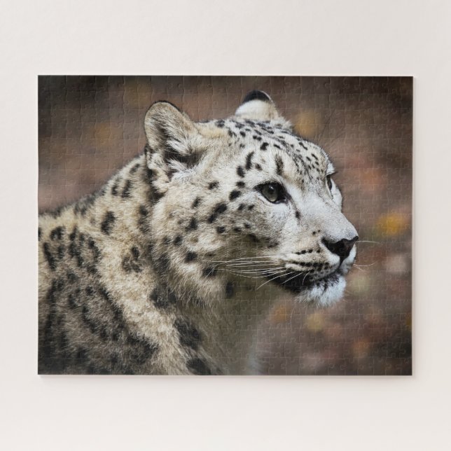 Beautiful Snow Leopard, Jigsaw Puzzle (Horizontal)