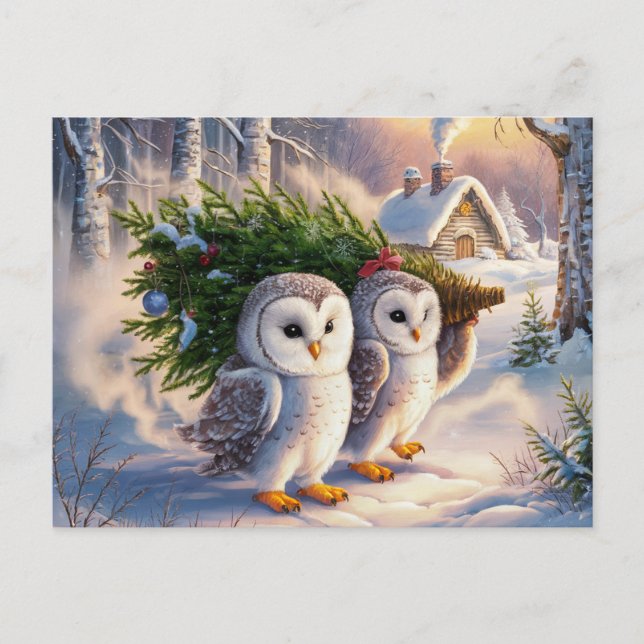 Beautiful Snow Owl Christmas Postcard (Front)