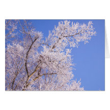 Beautiful Snow Scene Photo