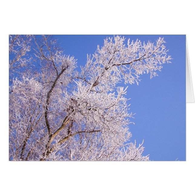 Beautiful Snow Scene Photo (Front Horizontal)