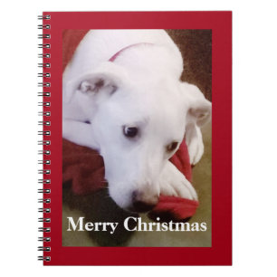 Beautiful Snowy White Puppy Dog Christmas Red Notebook