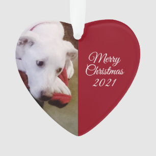 Beautiful Snowy White Puppy Dog Ped Christmas Ornament