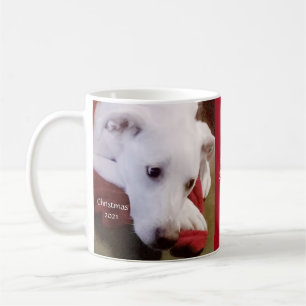 Beautiful Snowy White Puppy Dog Red Christmas Coffee Mug