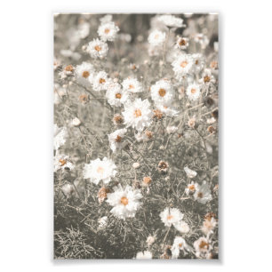 Beautiful Snowy White Wildflower Floral Photo Print