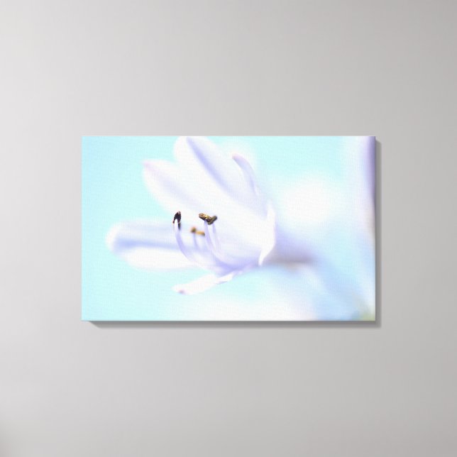 Beautiful Soft Blue Flower Stretched Canvas Print (Front)
