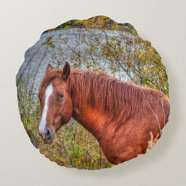 Beautiful Sorrel Mare & Lake View Equine Photo Round Cushion (Back)