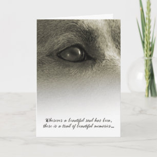 Beautiful Soul Dog Sympathy - See Description Card
