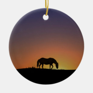 Beautiful Southwestern Horse Christmas Ornament