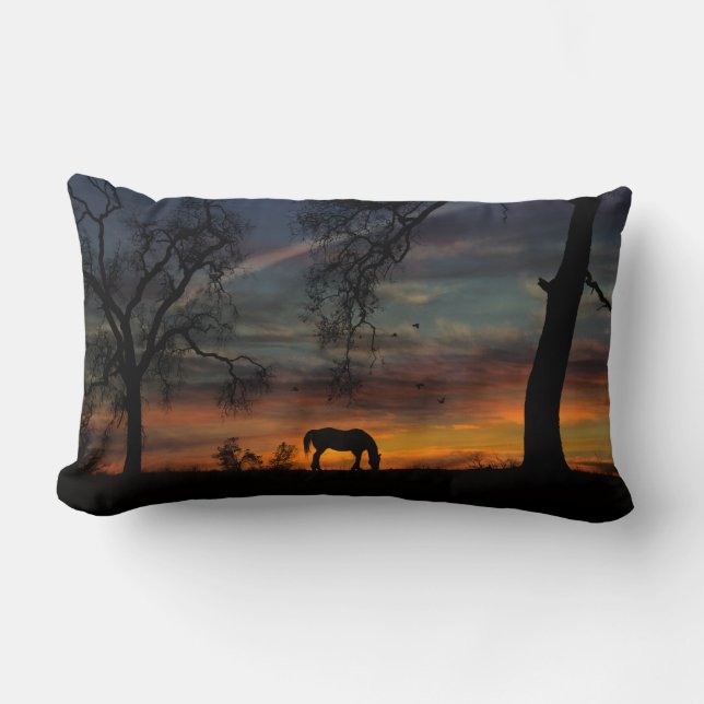Beautiful Southwestern Horse Decor Pillow (Front)