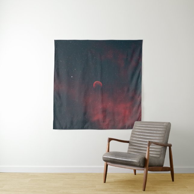 Beautiful Space Tapestry (In Situ)