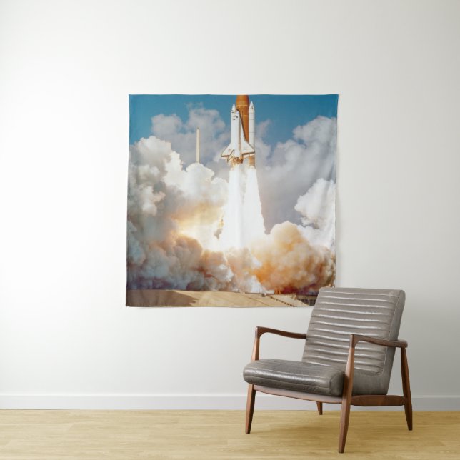 Beautiful Space Tapestry (In Situ)