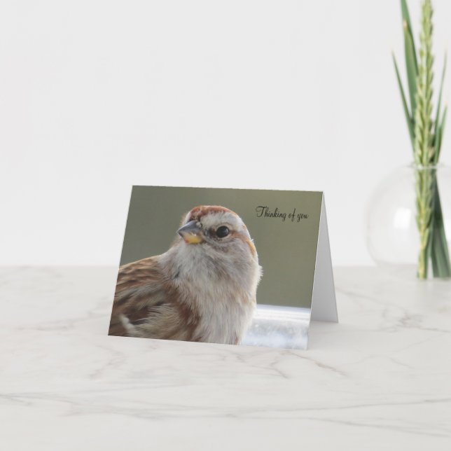 Beautiful Sparrow - Blank Greeting Card (Front)