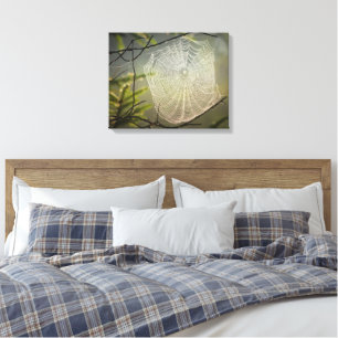 Beautiful Spider Web in the Forest on Canvas Print