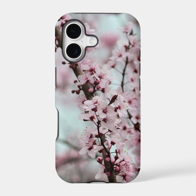 Beautiful Spring Cherry Blossom (Back)