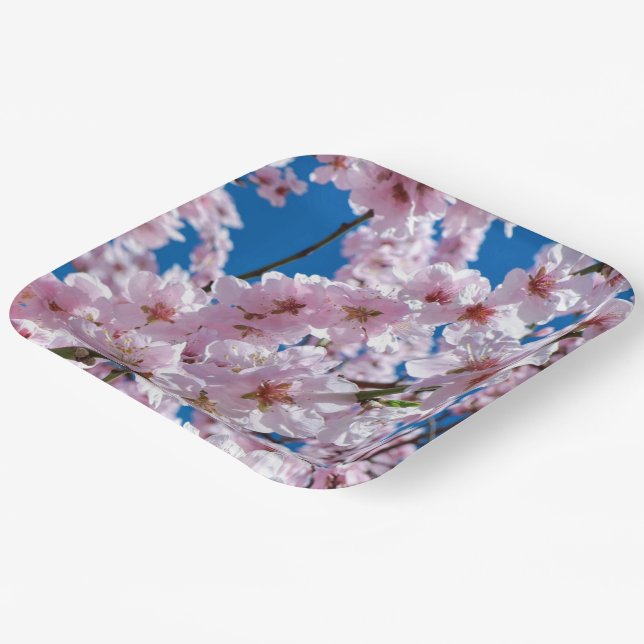 Beautiful Spring Cherry Blossoms Paper Plate (Angled)