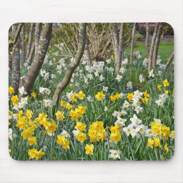 Beautiful spring daffodil garden mouse mat (Front)