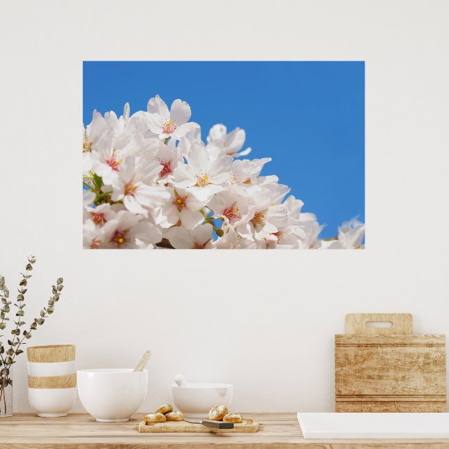 Beautiful spring flowers poster (Kitchen)