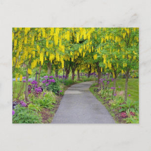 Beautiful spring garden path postcard